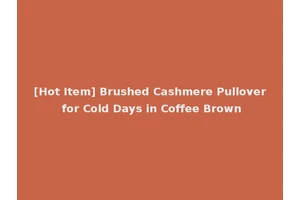 [Hot Item] Brushed Cashmere Pullover for Cold Days in Coffee Brown