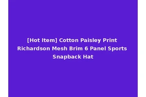 [Hot Item] Cotton Paisley Print Richardson Mesh Brim 6 Panel Sports Snapback Hat