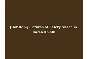 [Hot Item] Pictures of Safety Shoes in Korea RS740