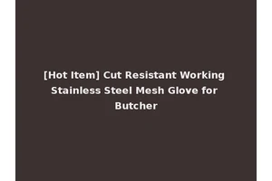 [Hot Item] Cut Resistant Working Stainless Steel Mesh Glove for Butcher