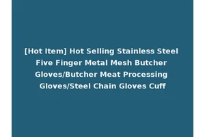 [Hot Item] Hot Selling Stainless Steel Five Finger Metal Mesh Butcher Gloves/Butcher Meat Processing Gloves/Steel Chain Gloves Cuff