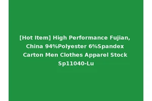 [Hot Item] High Performance Fujian, China 94%Polyester 6%Spandex Carton Men Clothes Apparel Stock Sp11040-Lu