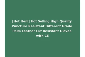 [Hot Item] Hot Selling High Quality Puncture Resistant Different Grade Palm Leather Cut Resistant Gloves with CE