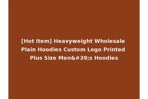 [Hot Item] Heavyweight Wholesale Plain Hoodies Custom Logo Printed Plus Size Men's Hoodies