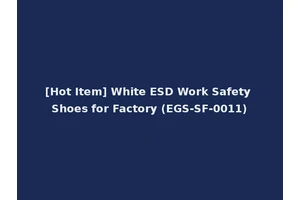 [Hot Item] White ESD Work Safety Shoes for Factory (EGS-SF-0011)