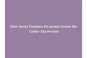 [Hot Item] Fashion PU Jacket Dress No Collar Zip Pocket