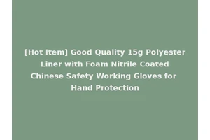 [Hot Item] Good Quality 15g Polyester Liner with Foam Nitrile Coated Chinese Safety Working Gloves for Hand Protection