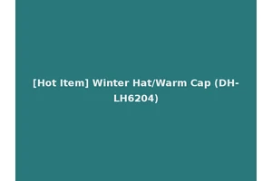 [Hot Item] Winter Hat/Warm Cap (DH-LH6204)