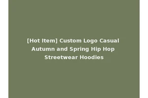 [Hot Item] Custom Logo Casual Autumn and Spring Hip Hop Streetwear Hoodies