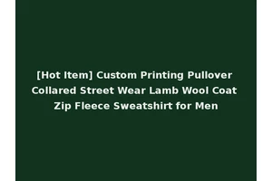 [Hot Item] Custom Printing Pullover Collared Street Wear Lamb Wool Coat Zip Fleece Sweatshirt for Men