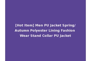 [Hot Item] Men PU Jacket Spring/Autumn Polyester Lining Fashion Wear Stand Collar PU Jacket
