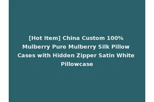 [Hot Item] China Custom 100% Mulberry Pure Mulberry Silk Pillow Cases with Hidden Zipper Satin White Pillowcase
