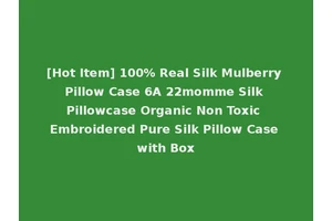 [Hot Item] 100% Real Silk Mulberry Pillow Case 6A 22momme Silk Pillowcase Organic Non Toxic Embroidered Pure Silk Pillow Case with Box