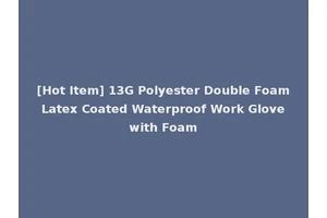 [Hot Item] 13G Polyester Double Foam Latex Coated Waterproof Work Glove with Foam