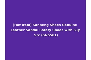 [Hot Item] Sanneng Shoes Genuine Leather Sandal Safety Shoes with S1p Src (SN5561)