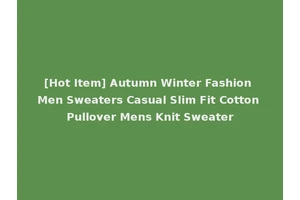 [Hot Item] Autumn Winter Fashion Men Sweaters Casual Slim Fit Cotton Pullover Mens Knit Sweater