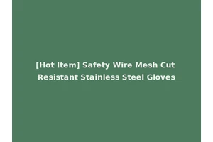[Hot Item] Safety Wire Mesh Cut Resistant Stainless Steel Gloves