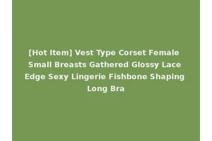 [Hot Item] Vest Type Corset Female Small Breasts Gathered Glossy Lace Edge Sexy Lingerie Fishbone Shaping Long Bra
