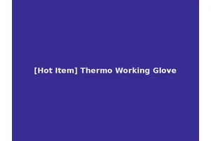 [Hot Item] Thermo Working Glove