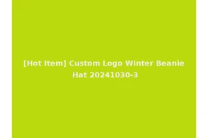 [Hot Item] Custom Logo Winter Beanie Hat 20241030-3