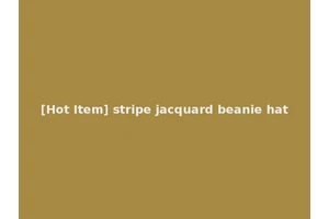 [Hot Item] stripe jacquard beanie hat