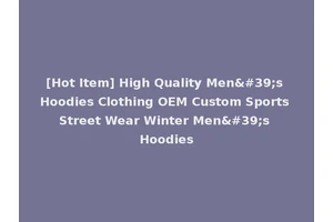 [Hot Item] High Quality Men's Hoodies Clothing OEM Custom Sports Street Wear Winter Men's Hoodies