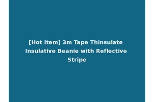 [Hot Item] 3m Tape Thinsulate Insulative Beanie with Reflective Stripe