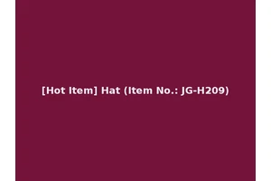 [Hot Item] Hat (Item No.: JG-H209)