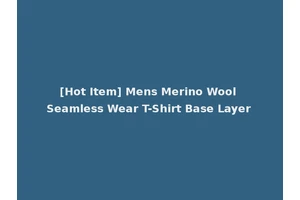 [Hot Item] Mens Merino Wool Seamless Wear T-Shirt Base Layer