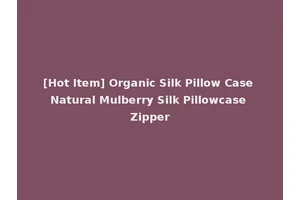 [Hot Item] Organic Silk Pillow Case Natural Mulberry Silk Pillowcase Zipper