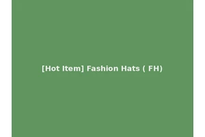 [Hot Item] Fashion Hats ( FH)