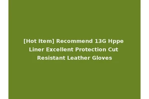 [Hot Item] Recommend 13G Hppe Liner Excellent Protection Cut Resistant Leather Gloves