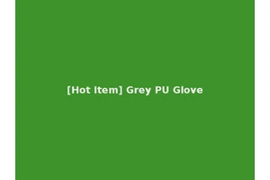 [Hot Item] Grey PU Glove