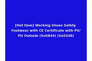 [Hot Item] Working Shoes Safety Footwear with CE Certificate with PU/PU Outsole (Sn5844) (Sn5336)