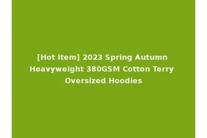 [Hot Item] 2023 Spring Autumn Heavyweight 380GSM Cotton Terry Oversized Hoodies