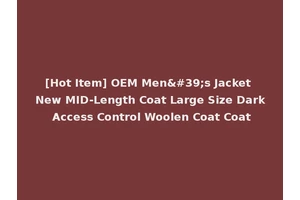 [Hot Item] OEM Men's Jacket New MID-Length Coat Large Size Dark Access Control Woolen Coat Coat