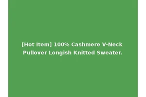 [Hot Item] 100% Cashmere V-Neck Pullover Longish Knitted Sweater.