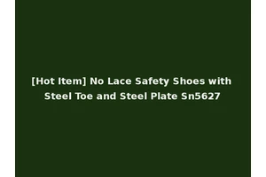 [Hot Item] No Lace Safety Shoes with Steel Toe and Steel Plate Sn5627