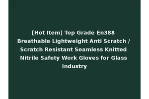 [Hot Item] Top Grade En388 Breathable Lightweight Anti Scratch / Scratch Resistant Seamless Knitted Nitrile Safety Work Gloves for Glass Industry