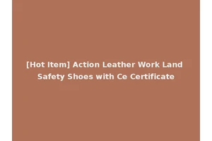 [Hot Item] Action Leather Work Land Safety Shoes with Ce Certificate