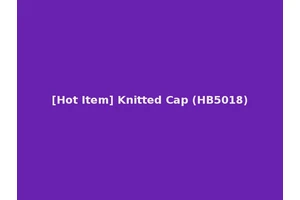 [Hot Item] Knitted Cap (HB5018)