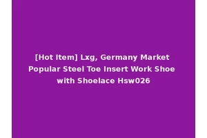 [Hot Item] Lxg, Germany Market Popular Steel Toe Insert Work Shoe with Shoelace Hsw026