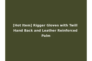 [Hot Item] Rigger Gloves with Twill Hand Back and Leather Reinforced Palm