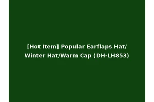 [Hot Item] Popular Earflaps Hat/Winter Hat/Warm Cap (DH-LH853)