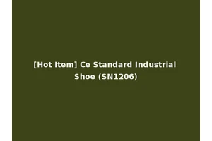 [Hot Item] Ce Standard Industrial Shoe (SN1206)