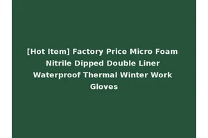 [Hot Item] Factory Price Micro Foam Nitrile Dipped Double Liner Waterproof Thermal Winter Work Gloves