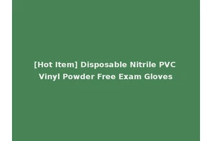 [Hot Item] Disposable Nitrile PVC Vinyl Powder Free Exam Gloves
