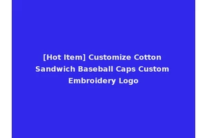 [Hot Item] Customize Cotton Sandwich Baseball Caps Custom Embroidery Logo