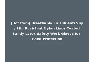[Hot Item] Breathable En 388 Anti Slip / Slip Resistant Nylon Liner Coated Sandy Latex Safety Work Gloves for Hand Protection