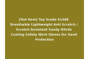 [Hot Item] Top Grade En388 Breathable Lightweight Anti Scratch / Scratch Resistant Sandy Nitrile Coating Safety Work Gloves for Hand Protection